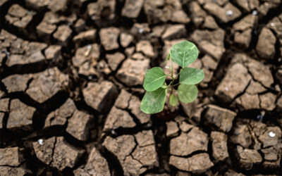 L’idea che dovremmo adattarci al cambiamento climatico è estremamente fuorviante