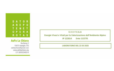 Verbale Incontro del 22 marzo 2025