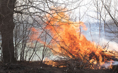 La gestione del territorio aiuta a prevenire gli incendi?