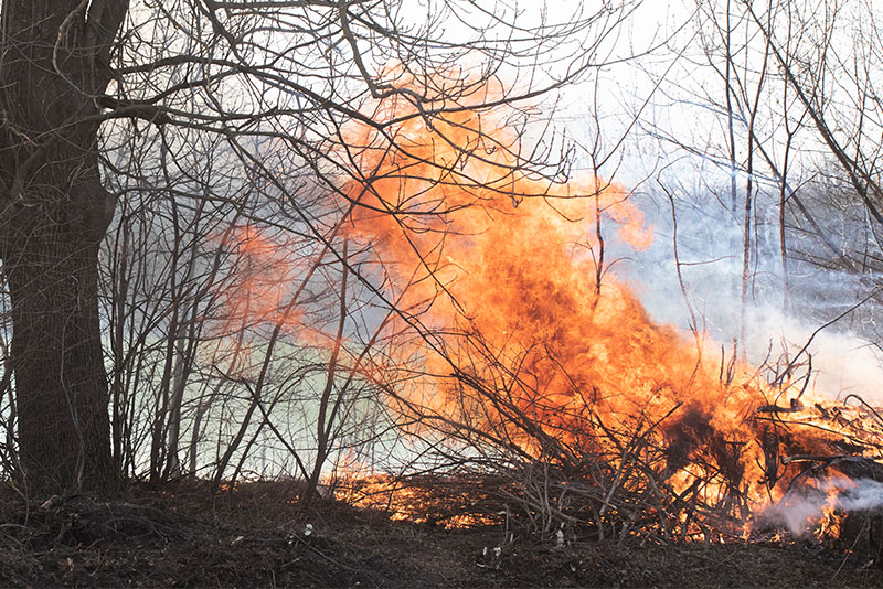 La gestione del territorio aiuta a prevenire gli incendi?